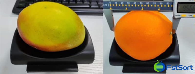 images/1709280634177mango sorting machine.jpg